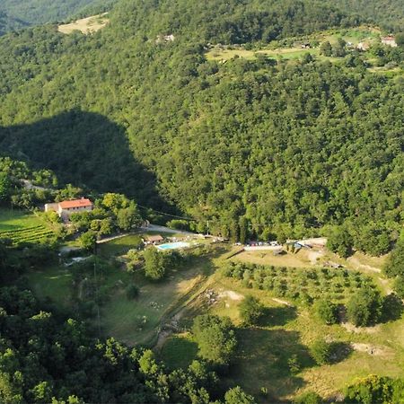 Il Colle - Apartment Giglio Φλωρεντία Εξωτερικό φωτογραφία